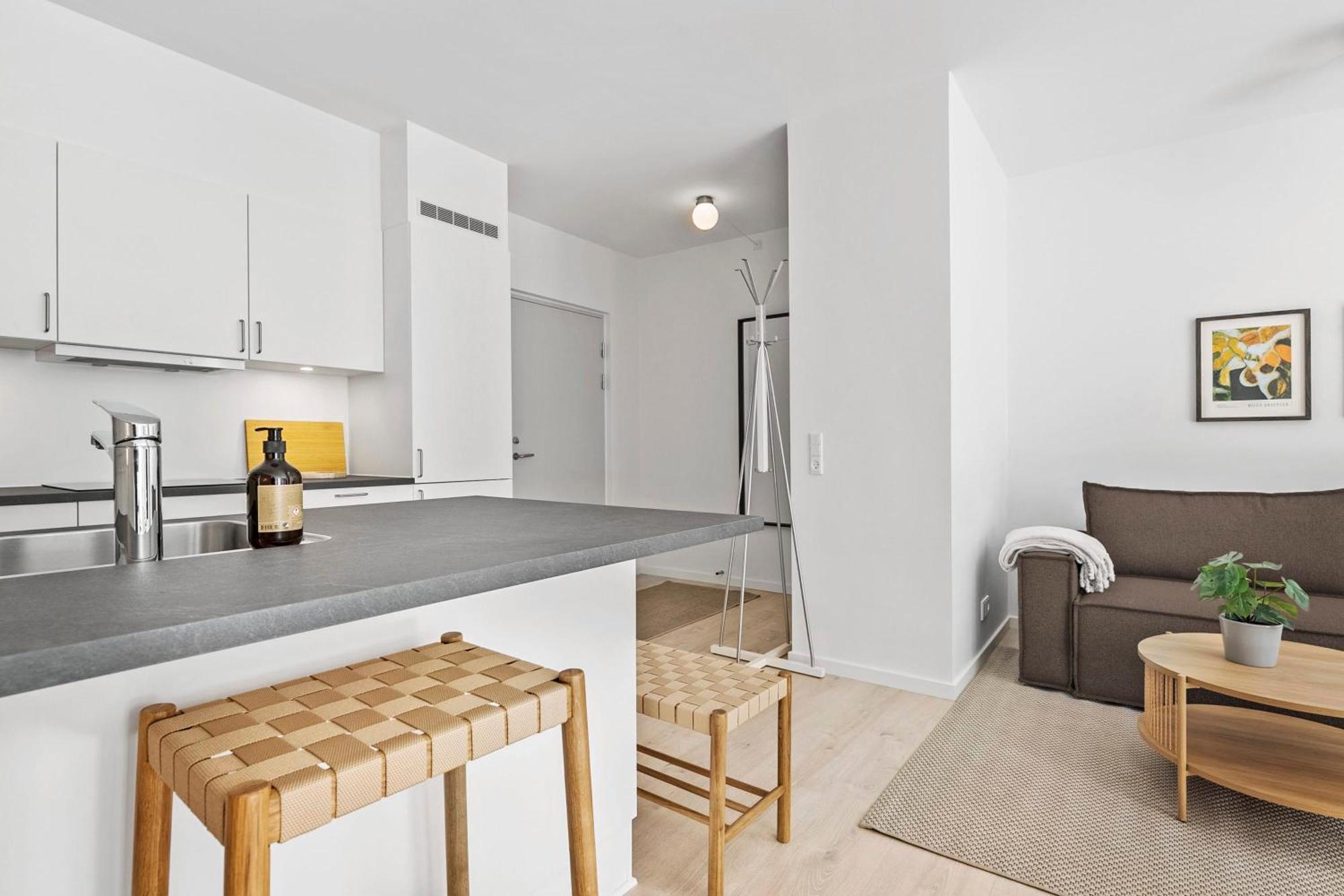 Inner City Grand Suite Århus Buitenkant foto